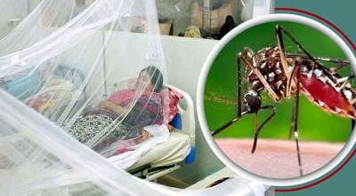 ডেঙ্গুতে ২৪ ঘণ্টায় আরও ১ মৃত্যু, হাসপাতালে ৩৯১