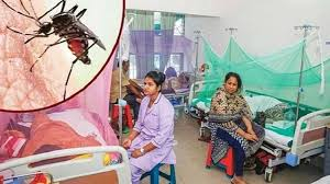 ডেঙ্গুতে আরও ৪ মৃত্যু, হাসপাতালে ৩১৯