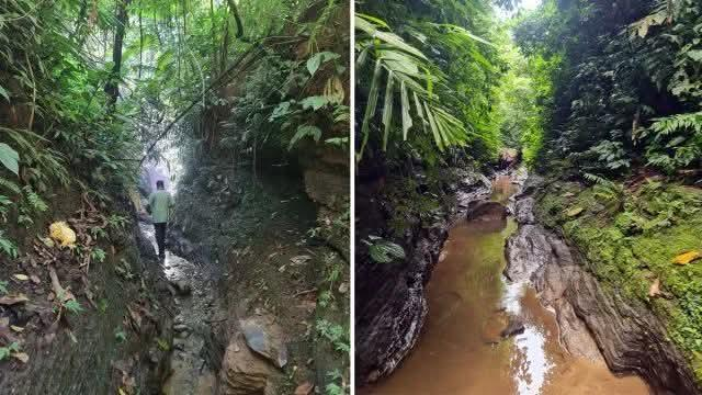 শ্রীমঙ্গলের সীমান্তবর্তী অরণ্যে প্রাচীন গিরিখাতসমূহ: ভূতাত্ত্বিক ও পর্যটন সম্ভাবনা