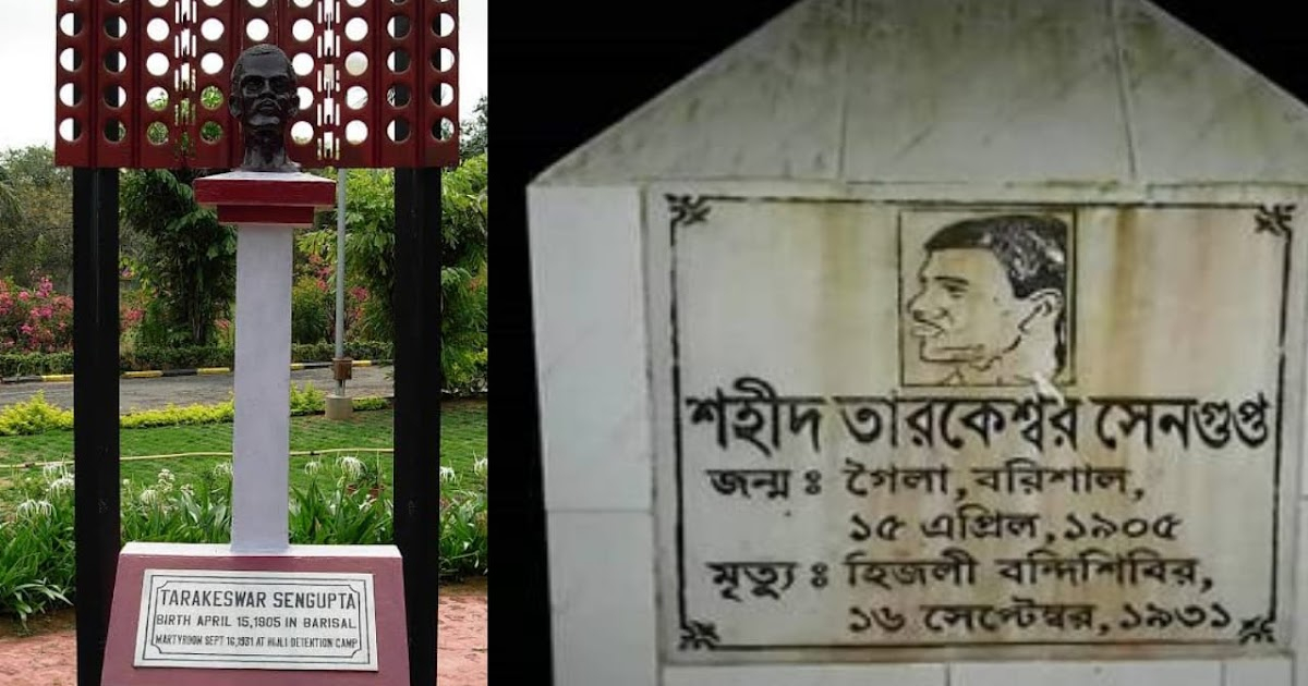 গৈলার গর্ব: শহীদ তারকেশ্বর সেনগুপ্ত ও এক বিস্মৃত বিপ্লবের ইতিহাস