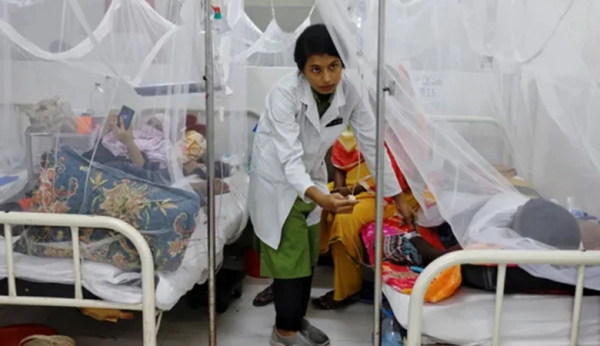২৪ ঘণ্টায় ডেঙ্গুতে ১২ জনের প্রাণহানি, হাসপাতালে ভর্তি ৭৪০