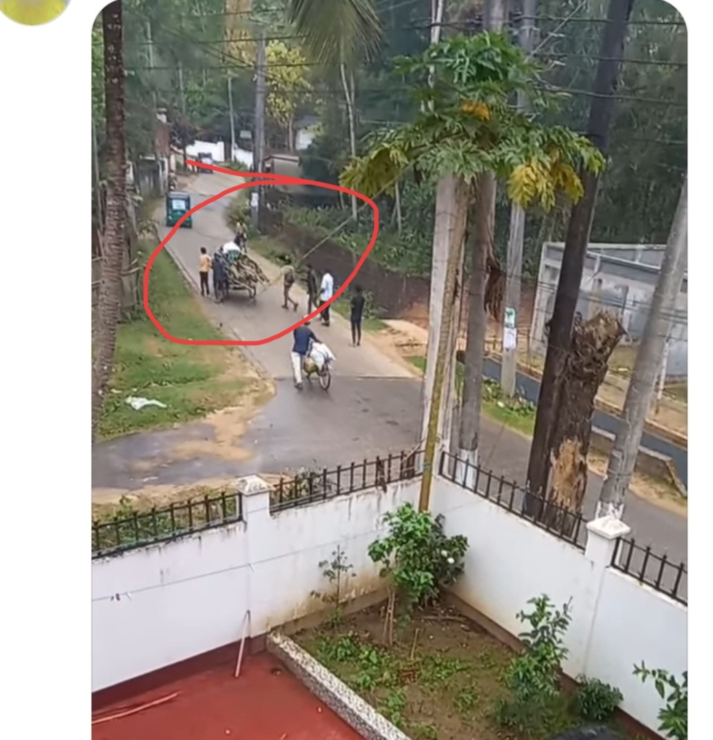 সবুজ হারানোর শঙ্কা: মৌলভীবাজারজুড়ে বন উজাড়ের নীরব মহামারি