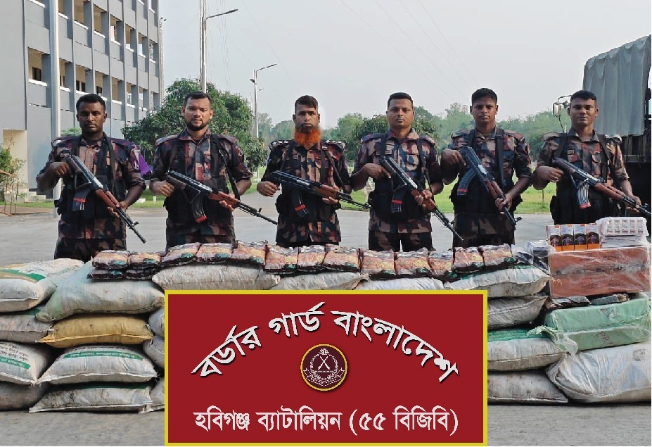 হবিগঞ্জের মাধবপুরে বিজিবির অভিযানে ২ কোটিরও অধিক টাকা মূল্যের ভারতীয় ওষুধ ও ফুচকা জব্দ