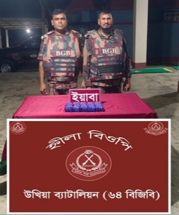 টেকনাফের হ্নীলা সীমান্তে বিজিবির অভিযানে ২০ হাজার পিস ইয়াবা উদ্ধার