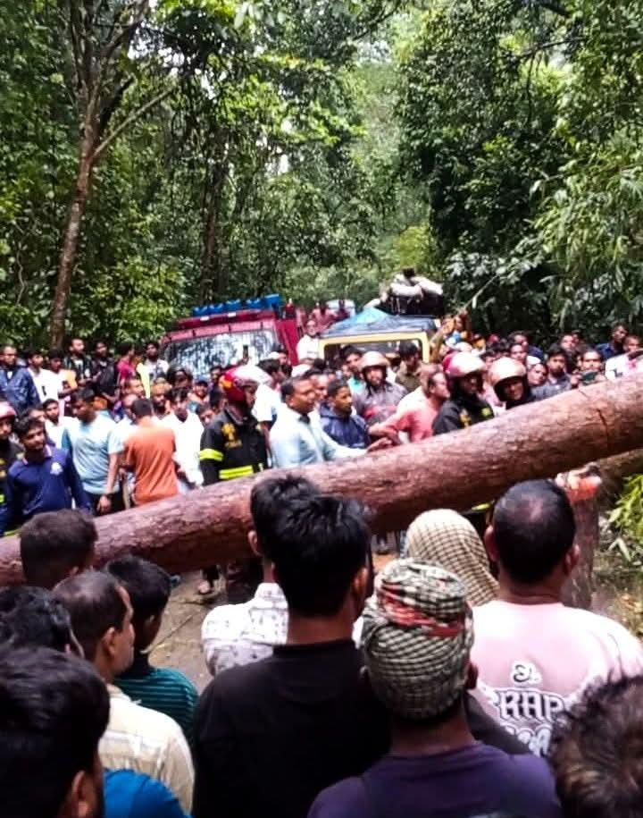 চায়ের স্বর্গে বৃষ্টির দাপট: লাউয়াছড়ায় গাছধসে ৬ ছয় ঘণ্টা সড়ক যোগাযোগ বন্ধ , বিপর্যস্ত জনজীবন