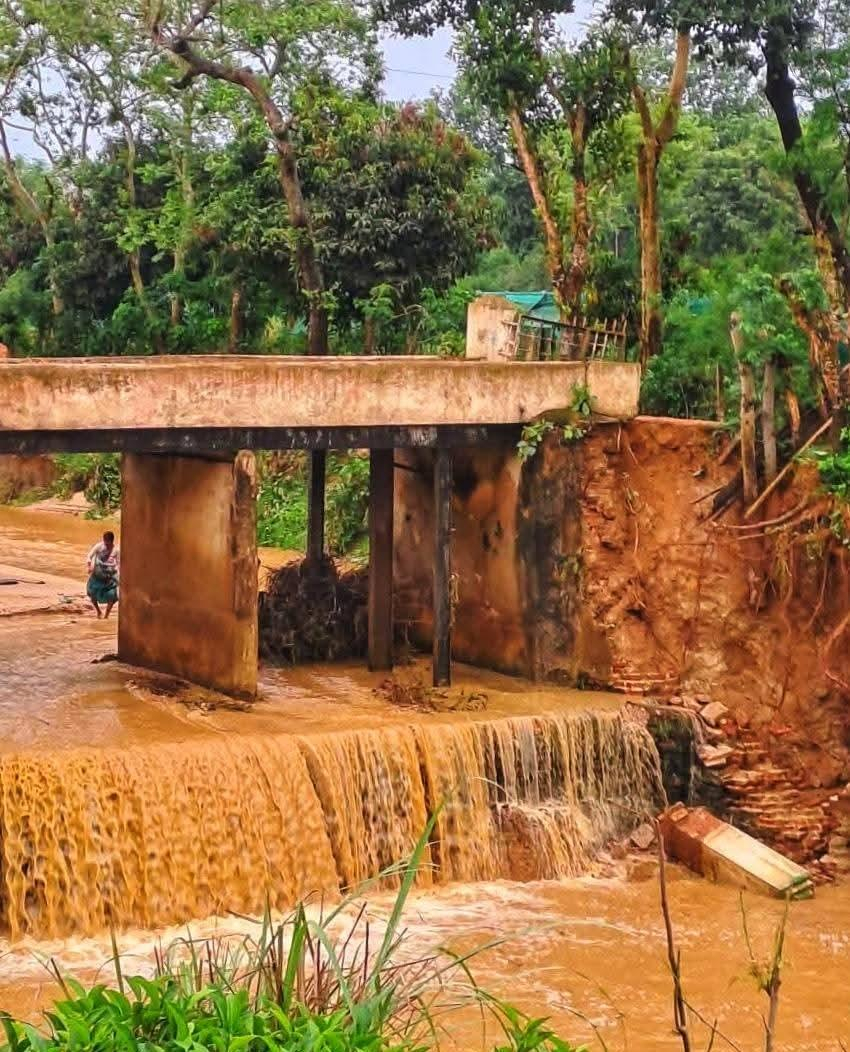 ভাঙনের মুখে সুরমা চা বাগানের সেতু—সামাজিক মাধ্যমে তোলপাড়, দ্রুত সংস্কারের দাবি