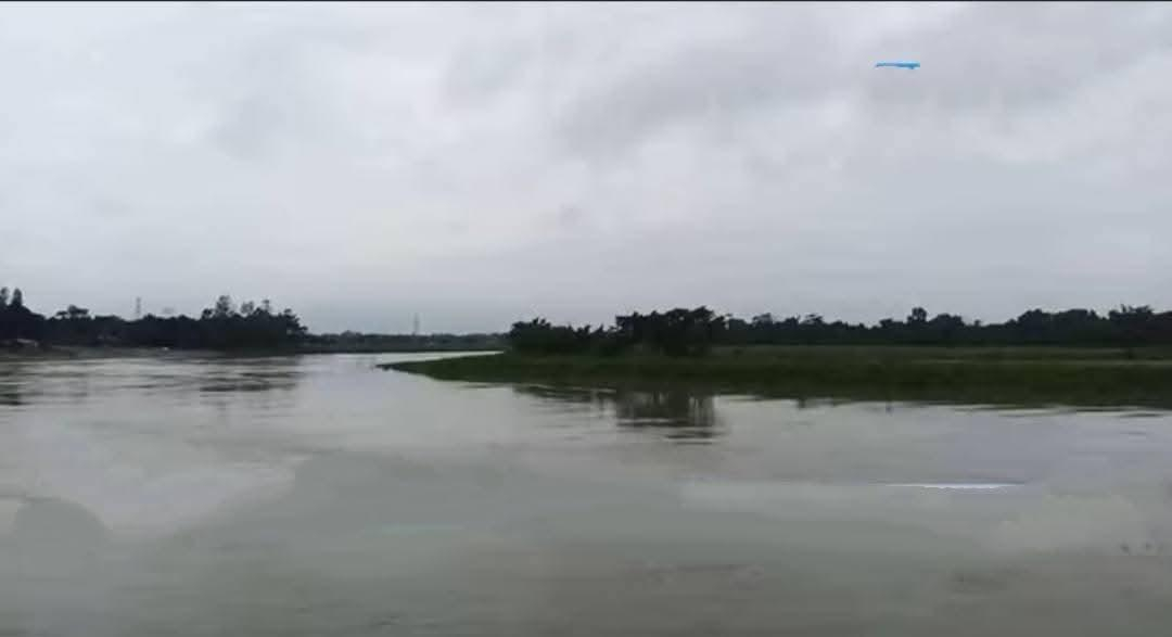 মরে যাচ্ছে কাওয়াদিঘী, হারাচ্ছে এক জলরাজ্যের প্রাণ