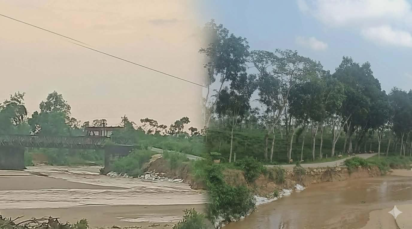 চা শিল্পাঞ্চলে ঝুঁকির মুখে গেলানিয়া ব্রিজ