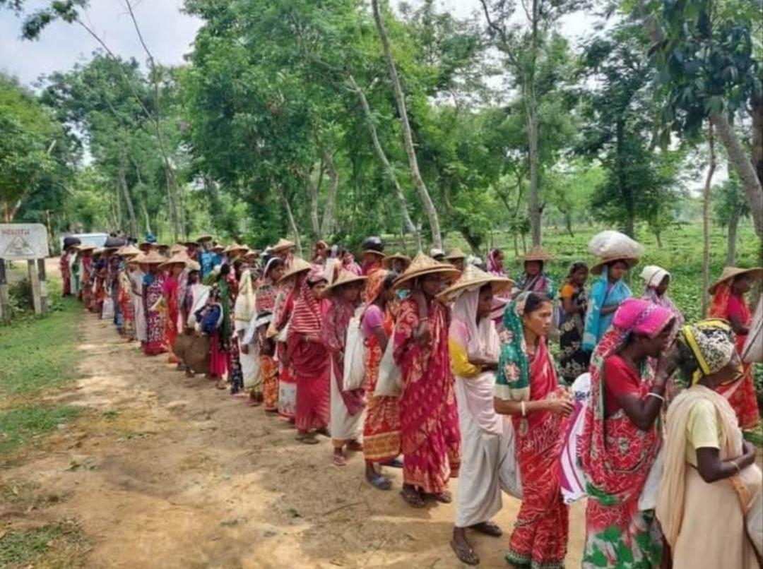 ২০ মে ১৯২১: “মুল্লুকে চল” — চা শ্রমিকদের রক্তে লেখা এক বিস্মৃত ইতিহাস