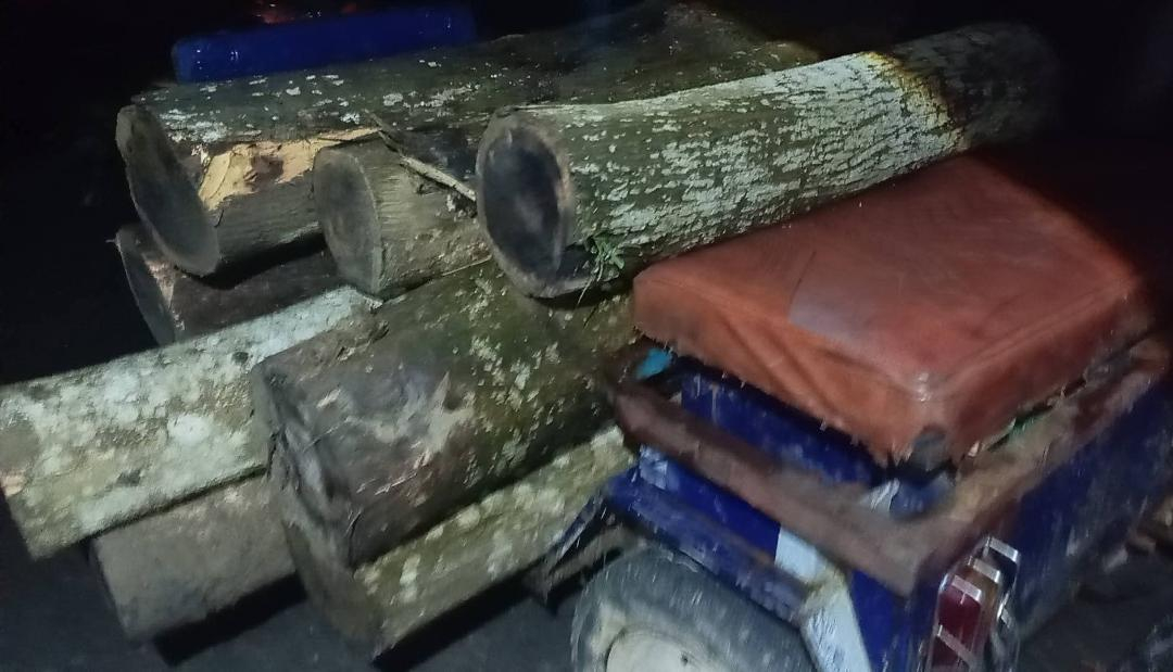 লাউয়াছড়া বনাঞ্চল ধ্বংসের পথে