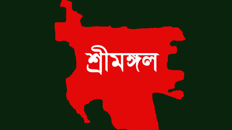 শ্রীমঙ্গলে হামলায় আহত রাজমিস্ত্রির মৃত্যু, গ্রেপ্তার ১