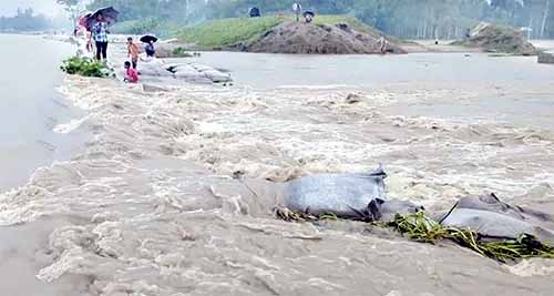 উজানের ঢল ও ভারী বৃষ্টি: উত্তরাঞ্চলে বন্যার আশঙ্কা