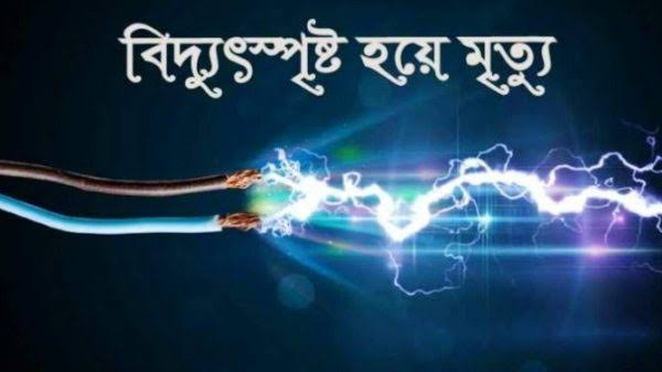 চুনারুঘাটে বিদ্যুৎস্পৃষ্টে দুই ভাইয়ের মৃত্যু