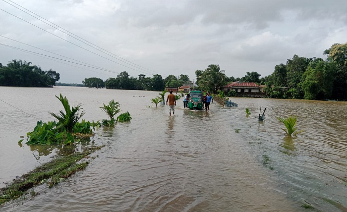 হবিগঞ্জ ও মৌলভীবাজারে বন্যার কবলে অর্ধলক্ষাধিক লোক