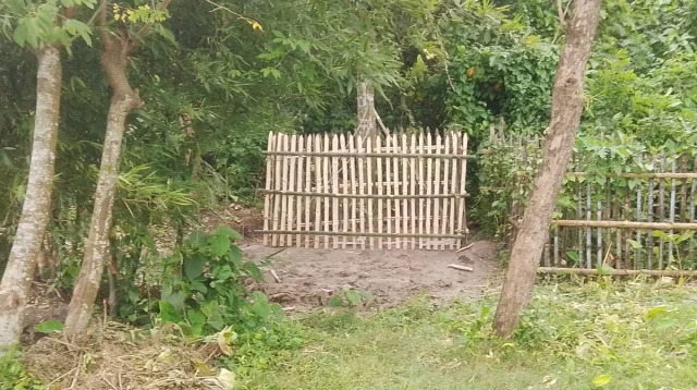 চাঁদা বকেয়ার অভিযোগে গোরস্থানে দাফন হলো না কুষ্টিয়ার নাসির উদ্দিনের