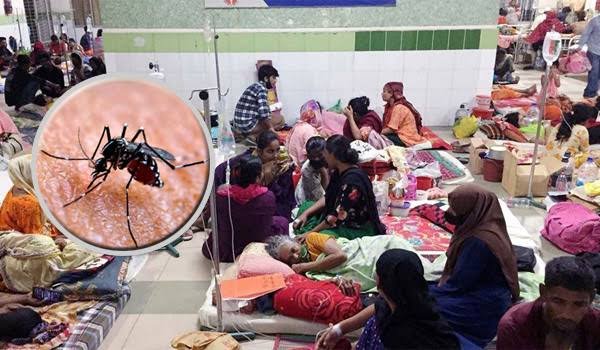 ডেঙ্গুতে ২৪ ঘণ্টায় ৫ জনের মৃত্যু, হাসপাতালে ভর্তি ৮৩৯