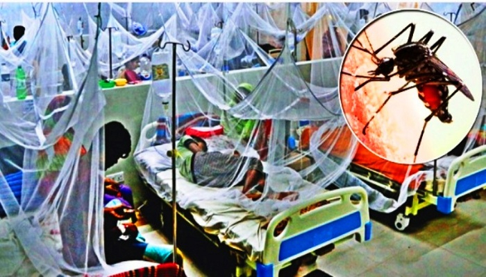 ডেঙ্গুতে ৯ জনের মৃত্যু, হাসপাতালে ভর্তি ১৫৭১