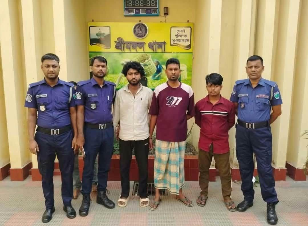 শ্রীমঙ্গলে কিশোরীকে অপহরণের পর রাতভর ধর্ষণের অভিযোগ, গ্রেপ্তার ৩