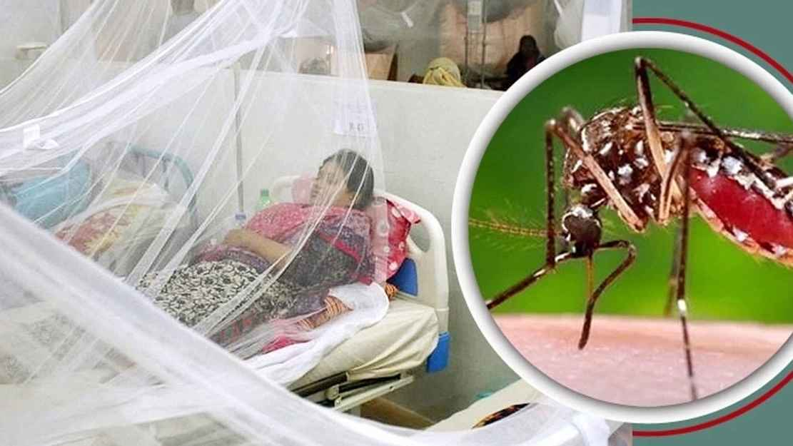 ডেঙ্গুতে এক দিনে ৯ জনের মৃত্যু