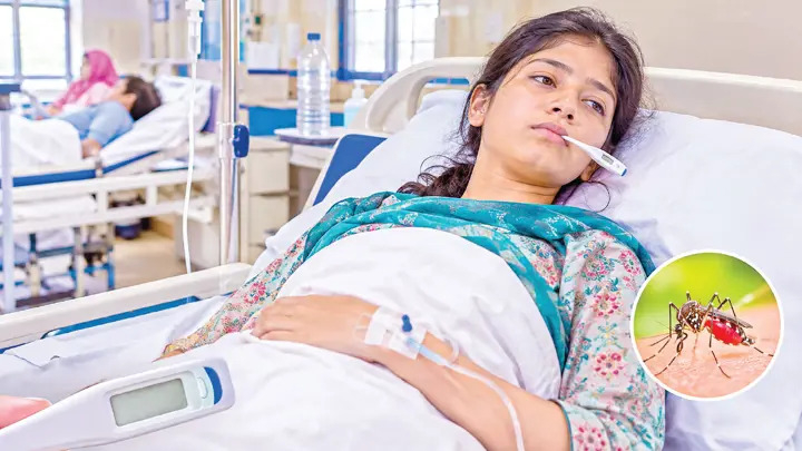 ডেঙ্গুতে একদিনে ১০ জনের মৃত্যু