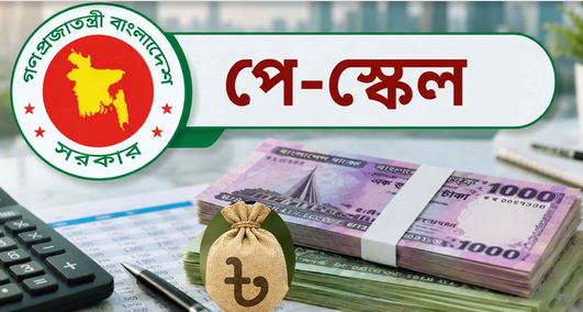 নতুন বেতন স্কেলের অর্থ জোগাতে ভর্তুকি ও সরকারি ব্যয় কমানোর সুপারিশ