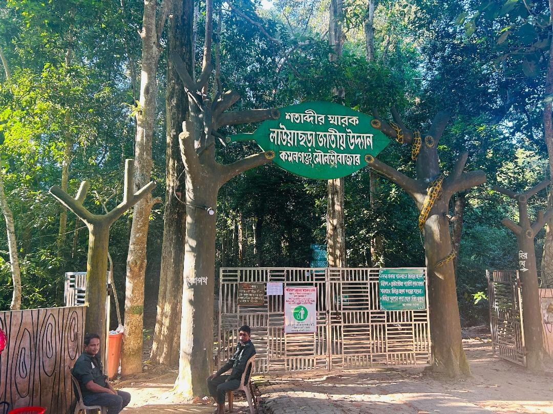 লাউয়াছড়ায় সিপিজি সদস্যদের পাঁচ মাসের ভাতা বন্ধ, আর্থিক সংকটে বনপ্রহরীরা